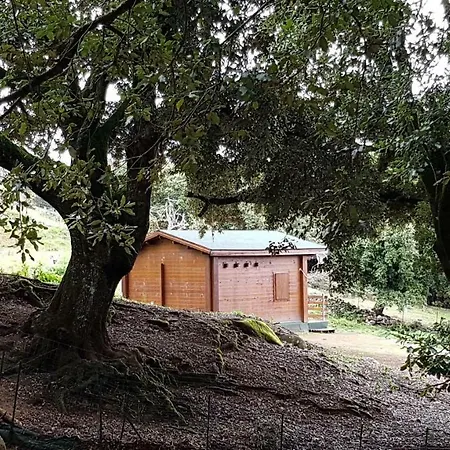 Chalet Casa
